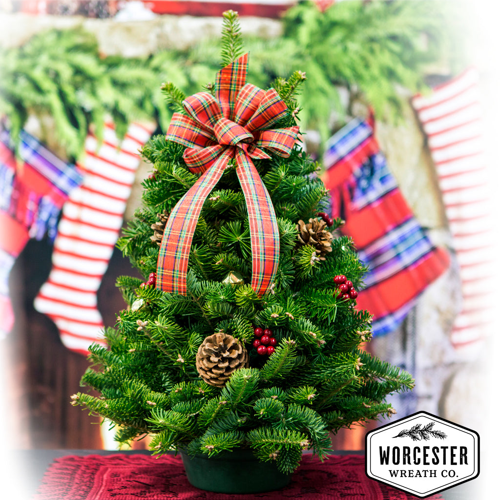 Highland Tabletop Tree | Christmas Tree