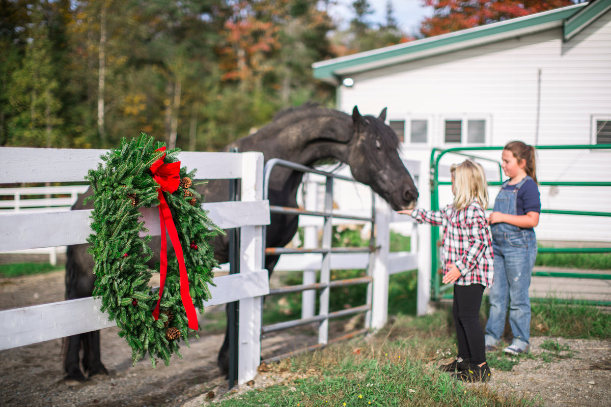 <h2>GET THE LATEST <br/>FROM WORCESTER BALSAM FARM</h2>
