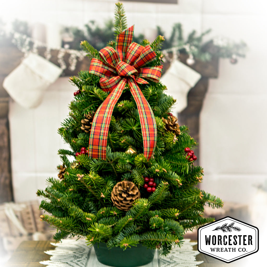 Highland Tabletop Tree | Christmas Tree