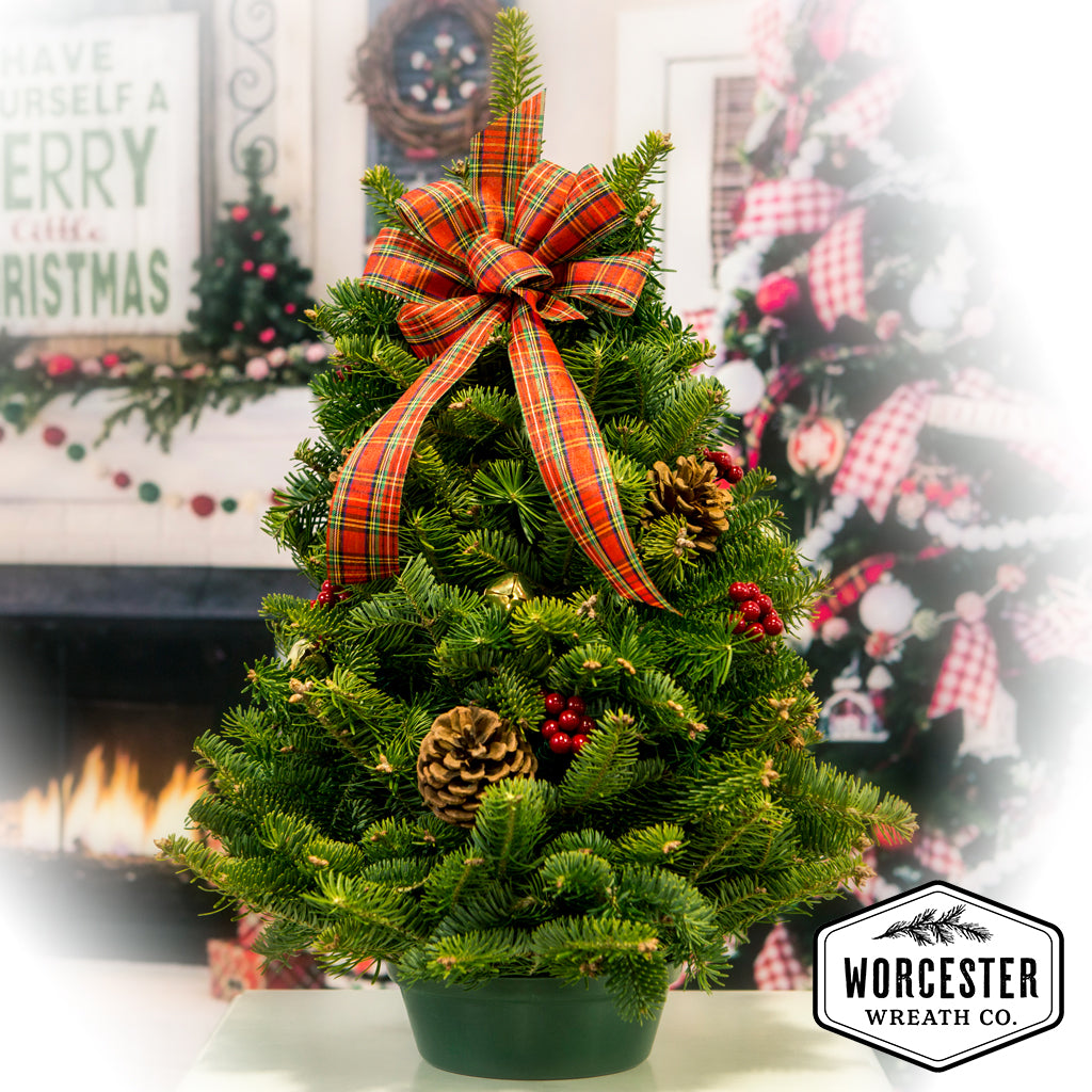 Highland Tabletop Tree | Christmas Tree