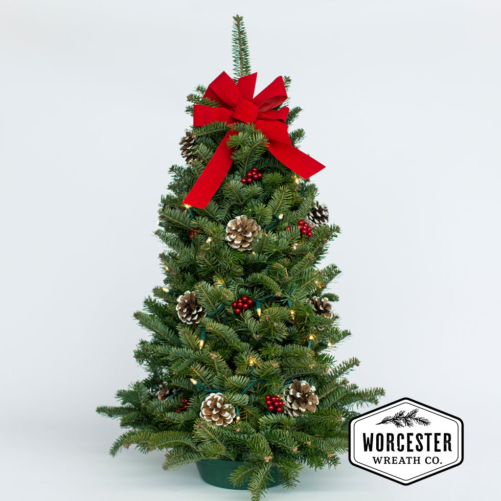 28in Twinkle Tabletop Tree | Christmas Tree