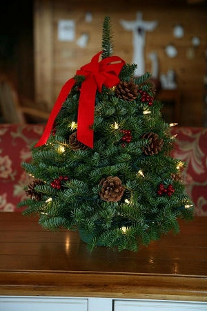 18in Twinkle Tabletop Tree | Christmas Tree